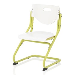 Стул ортопедический Chair Plus, 470х620х470, Белый/Зеленый