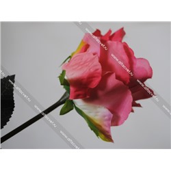 роза ROZA-1-70-5-L