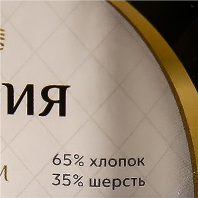 Пряжа "Астория" 65% хлопок, 35% шерсть 180м/50гр (5404 меланж)