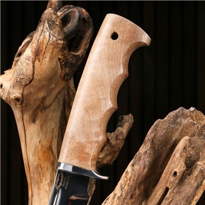 Нож охотничий "Тайга-2" сталь - 95х18, рукоять - орех
