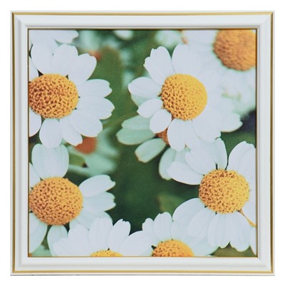 Картина "Белые цветы"  25х25(28х28) см