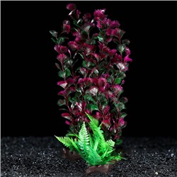 Растение искусственное аквариумное на платформе в виде коряги, 40 см, красно-зелёное