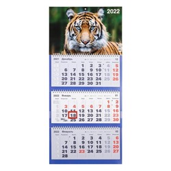 Календарь квартальный, трио "Символ года - 53" 2022 год, 31 х 69 см