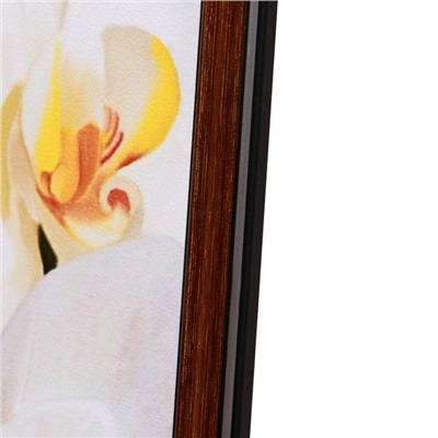 Картина "Орхидея" 50х70(53х73) см
