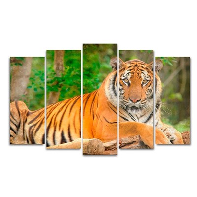Картина модульная на подрамнике "Тигр" (2-25х63; 2-25х70; 1-25х80) 125х80см