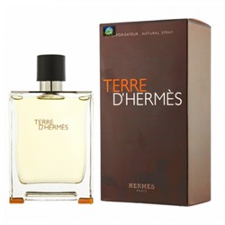 Парфюмерная вода Hermes Terre D'Hermes мужская (Euro A-Plus качество люкс)