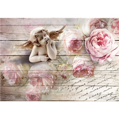 3D Фотообои «Ангелочек с розами»