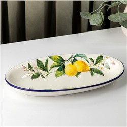 Блюдо овальное Доляна «Лимон», 28×14,5 см