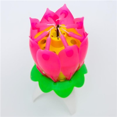 Свеча для торта музыкальная "Тюльпан", розовая, 12×5 см, Кошечка Мари