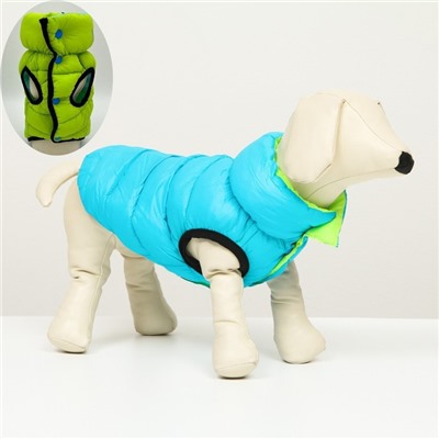 Куртка для собак двухсторонняя, XS22 (ДС 22 , ОШ 19 , ОГ 34 ), бирюзовая/салатовая