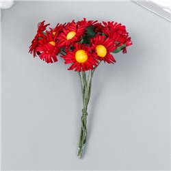 Цветы для декорирования "Ноготки" бордо 1 букет=10 цветов 7 см