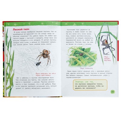 Энциклопедия для детского сада «В лесу»