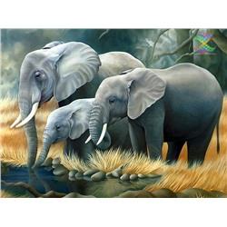 Алмазная мозаика. Семья слонов на водопое. Квадратные стразы. 37*50