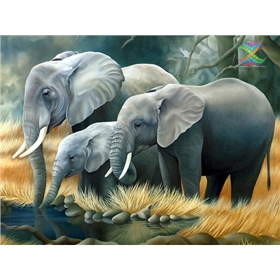 Алмазная мозаика. Семья слонов на водопое. Квадратные стразы. 37*50