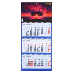 Календари квартальные трио "Закат, 2021- 2" 31 х 69 см