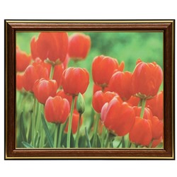 Картина "Тюльпаны" 20х25 (22х27) см