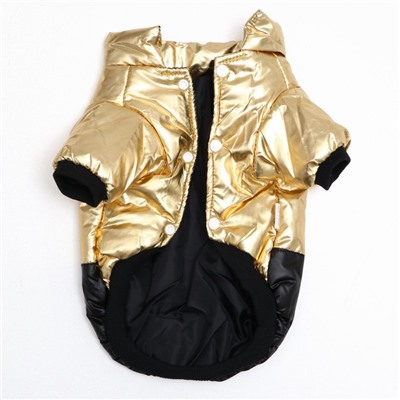 Куртка для собак "Космонавт", размер 8, чёрно-золотая (ДС 24, ОШ 22, ОГ 32 см)