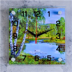 Часы настенные, серия: Природа, "Озеро", стекло, 25х25  см, микс