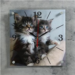 Часы настенные, серия: Животный мир, "Котята", плавный ход, 35 х 35 см