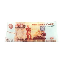 Тарелка 19*10*1,5 см "5000 рублей" с подст. (модель - S1910 H133)