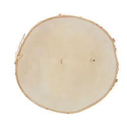 Спил березы, шлифованный с одной стороны, диаметр 25-30 см, толщина 2-3 см
