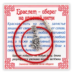KB031-1 Браслет на красной нити Собака (помощь и защита), цвет серебр.