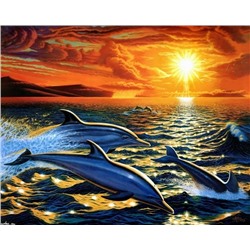 Картина по номерам 40х50 - Дельфины на закате