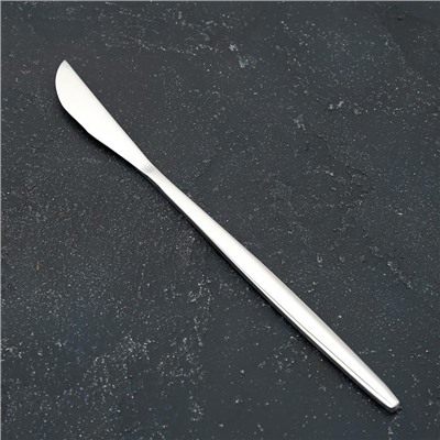 Нож столовый Magistro «Блинк», h=22 см, на подвесе, цвет серебряный