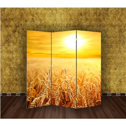 Ширма "Пшеничное поле", 160 × 150 см