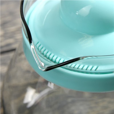 Чайник стеклянный заварочный «Рикки», 800 мл, цвет МИКС