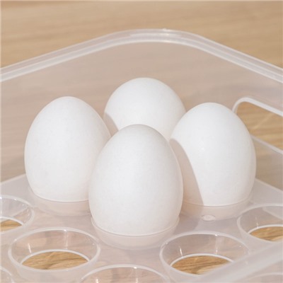 Лоток для хранения яиц, 24 ячейки, 31×21×7,5 см, цвет МИКС