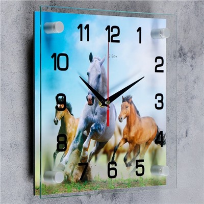 Часы настенные, серия: Животный мир, "Кони", 25х25  см, микс