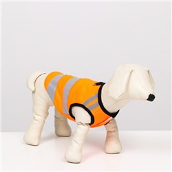Светоотражающий жилет для собак,  размер 8 (ДС 23 см, ОГ 30 см, ОГ 22 см), оранжевый