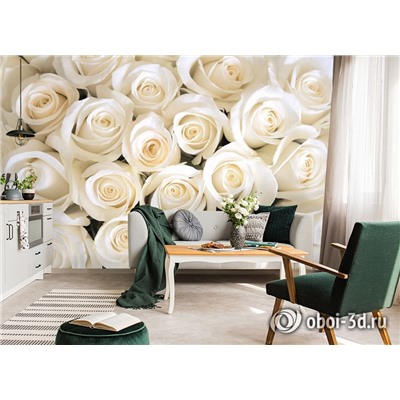 3D Фотообои «Нежные белые розы»