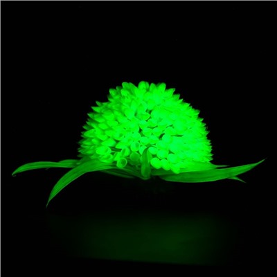 Растение шар искусственное аквариумное, светящееся, 9 см, зелёное