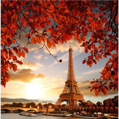 3D Фотообои «Яркая осень в Париже»