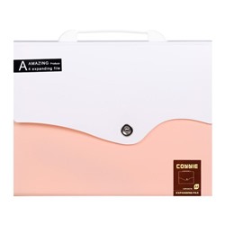 Папка-портфель 13 отделений, формат А4, на кнопке, светло-розовый+белый