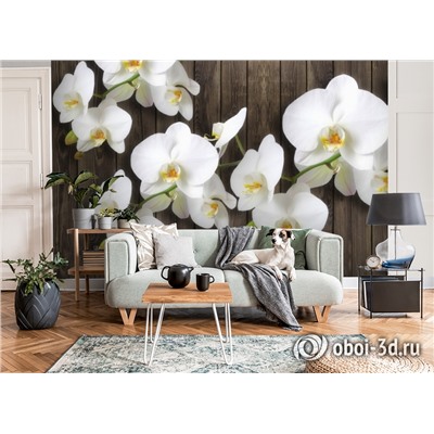 3D Фотообои  «Роскошная орхидея»