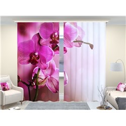 Фотошторы люкс Розовая орхидея 2