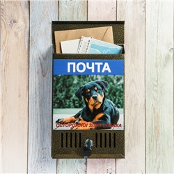 Ящик почтовый с замком, вертикальный, «Фото», МИКС, бронза