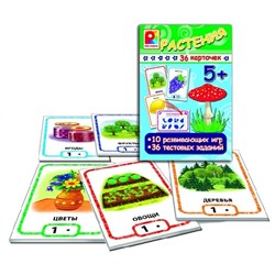 Радуга Игра с карточками С-912 Растения