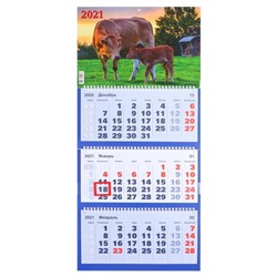 Календари квартальные трио "Символ года, 2021" 31 х 69 см