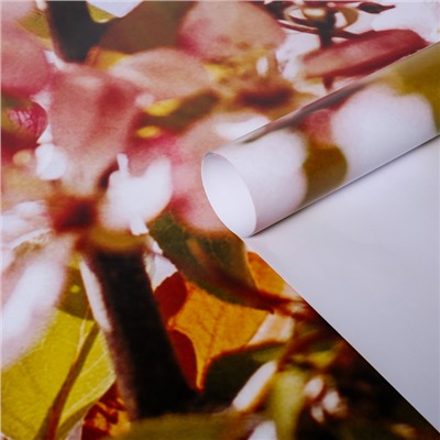 Фотообои "Цветение яблони", 210х200 см, 130 г/м