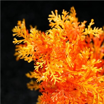 Растение искусственное аквариумное, 25 см, оранжевое