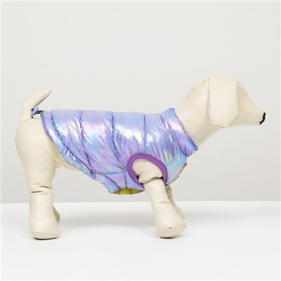 Куртка для собак двухсторонняя с утяжкой,  размер 8 (ДС 23,ОГ 30,ОШ 22),фиолетовая/жёлтая
