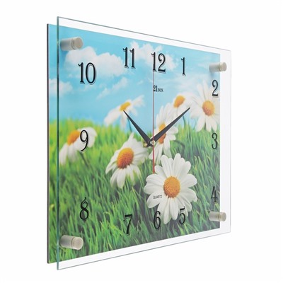 Часы настенные, серия: Цветы, "Ромашки" 30х40  см, микс