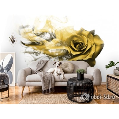 3D Фотообои «Солнечная роза»
