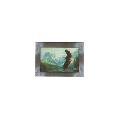 Картина Фен-Шуй Птицы 14х19см 049 Орел парящий в горах, узкая синяя рама SH