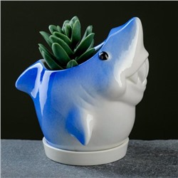 Горшок  "Акула" синий, 11,5*8,5*9см