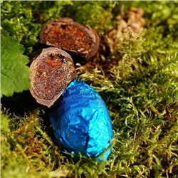 Конфеты «Фрутодень» Чернослив с кедровыми орешками в шоколаде 800г